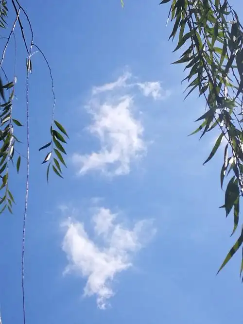 艳阳高照,彩云飞