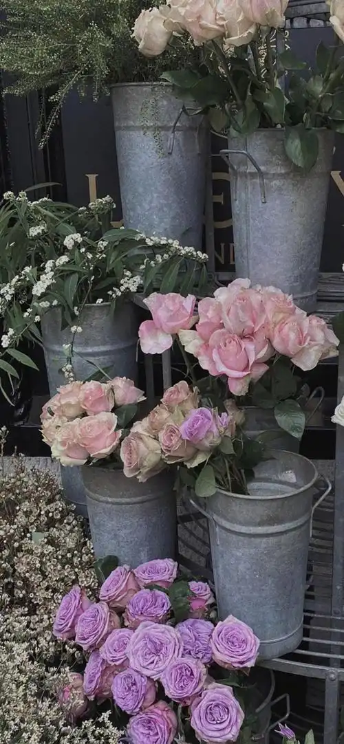 转自小红书 七七酱图 - 堆糖,美图壁纸兴趣社区