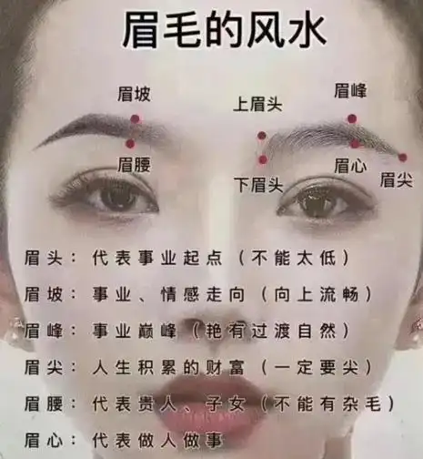 眉毛的后半部在相学上称之为"彩霞",象征着一个人的理智与才能
