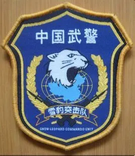 "国之利刃"——解放军十大特种部队曝光