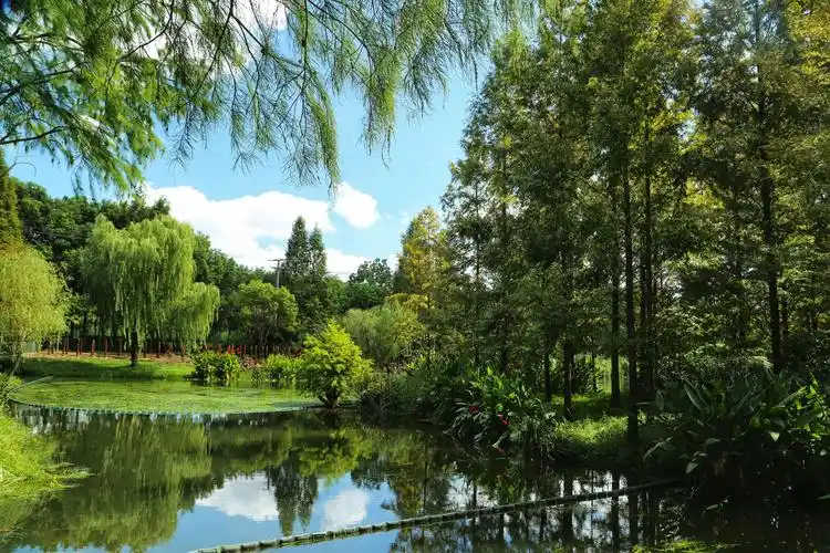 上海青西郊野公园