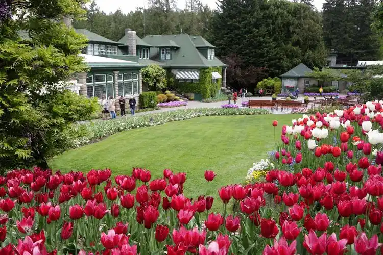 【北美行01】矿山采空区上诞生的美丽花园——布查特花园