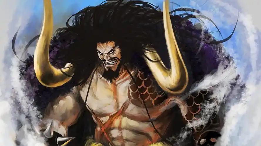 海贼王和之国篇