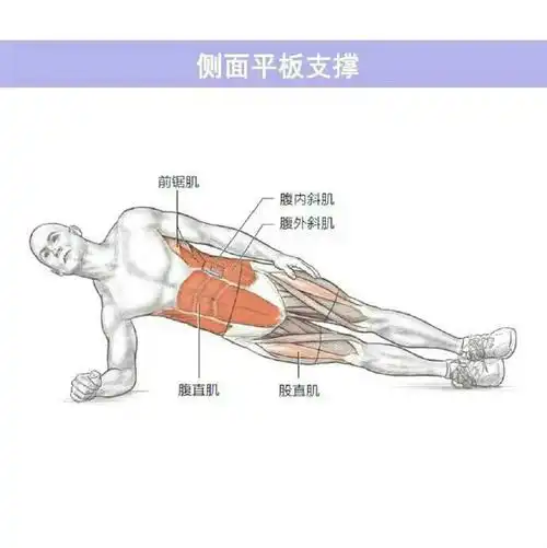 从易到难练腹肌,9个动作,助你练出强大核心,虐出腹肌马甲线