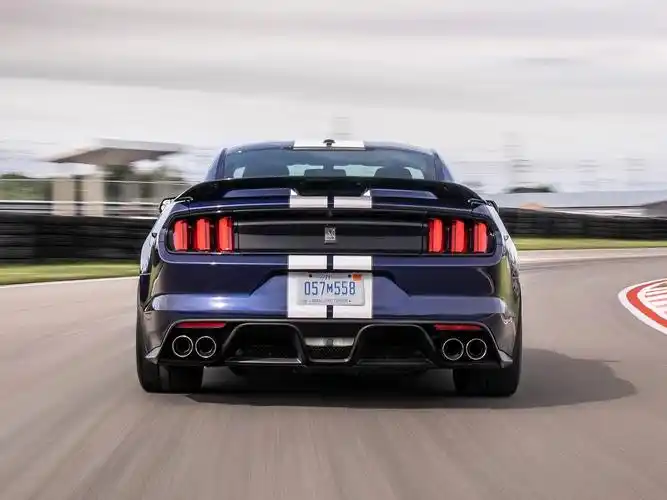 每日一车:新品种眼镜蛇ford mustang shelby gt350