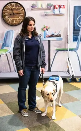 southeastern guide dogs, based in palmetto, provides the dogs