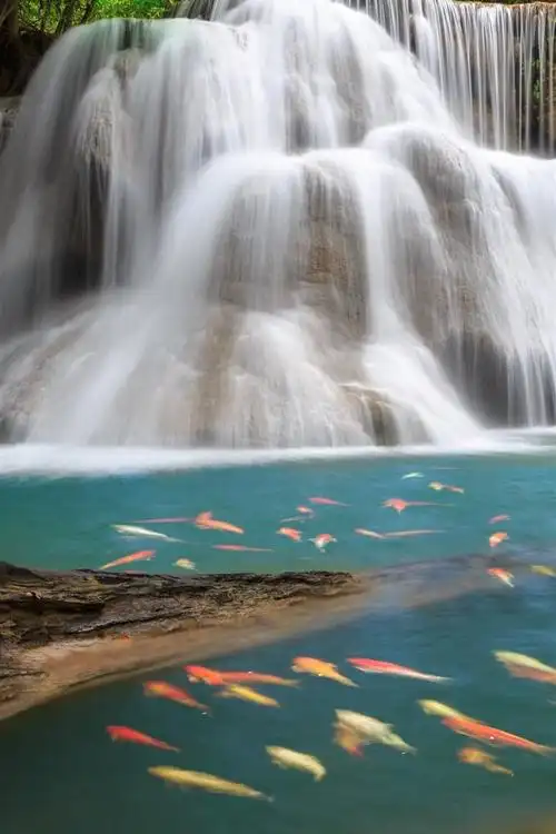美丽的瀑布,很多鱼 iphone 壁纸