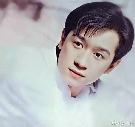 陈浩民homanchan的图片