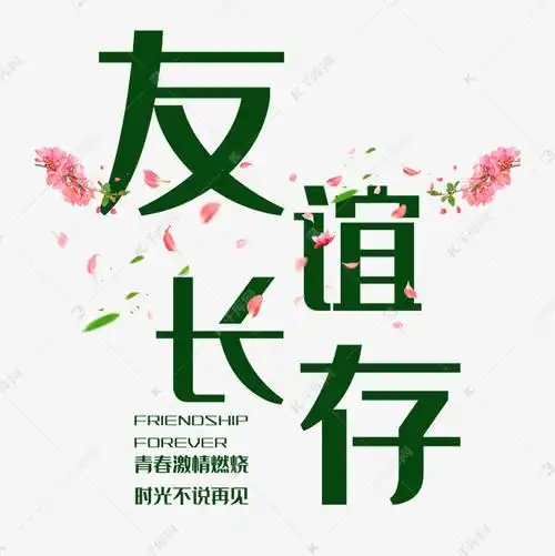 国际友谊日友谊长存