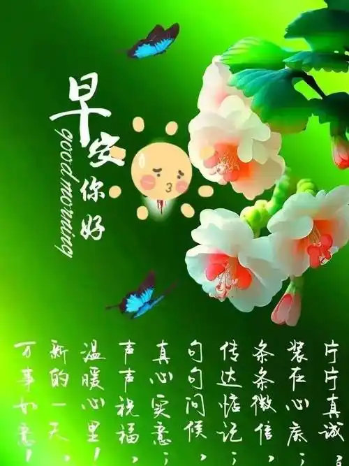 今日最新早上好问候语精选大全,今日精选早安问候祝福图片