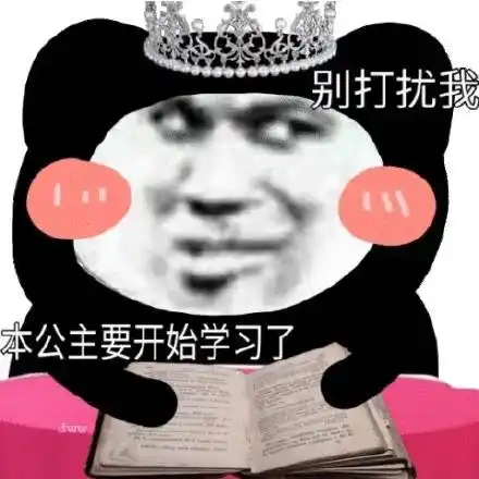 头斗图表情包)_斗图_熊猫_几时表情本公主真是给你脸了_公主_真是表情