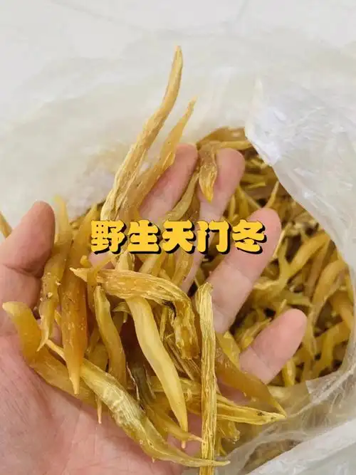 天门冬也叫天冬,具有滋阴,止咳,祛痰,润肺清心,去燥下火,滋补肾经功效