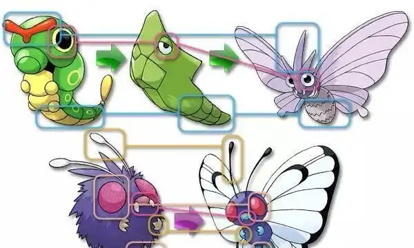 游漫谈细思极恐的宝可梦绿毛虫进化错乱勇吉拉起诉任天堂