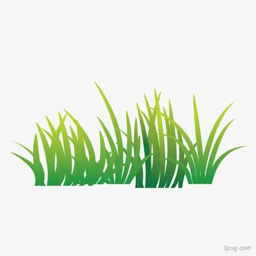 矢量卡通青翠草丛小草