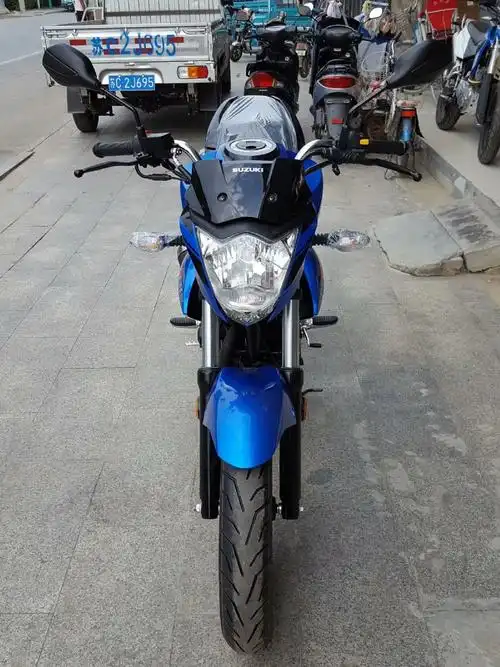 轻骑铃木极客飒155街车版