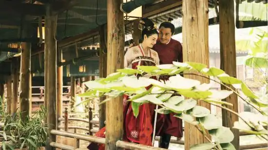 《妖猫传》张雨绮秦昊搭档夫妻