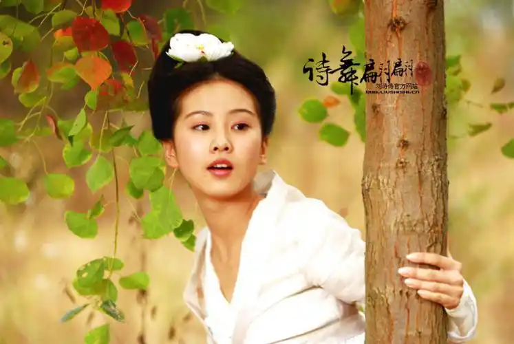 刘诗诗 饰 辛十四娘