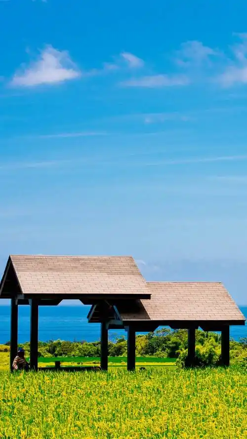 夏天,唯美风景,蓝天,夏天,手机壁纸夏天蓝