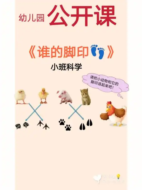 90给大家带来一节小班科学公开课《谁的脚印93》97活动目标1