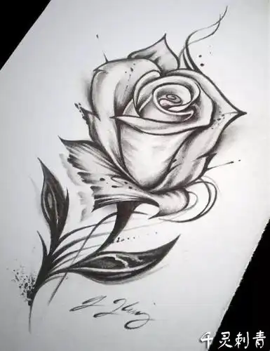 玫瑰纹身手稿图案