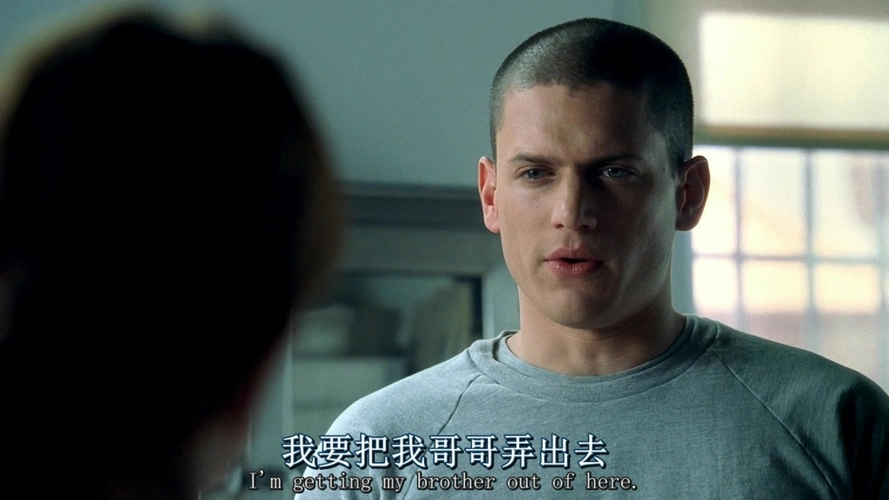 为什么喜欢越狱这部美剧?