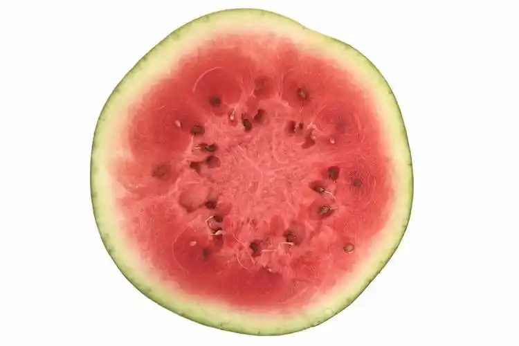 被誉为"从石缝里长出来的西瓜",所以瓜身上会有明显的磕痕.