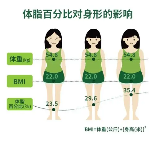 一组高效燃脂计划,3方面入手,帮你在家高效减肥,瘦全身