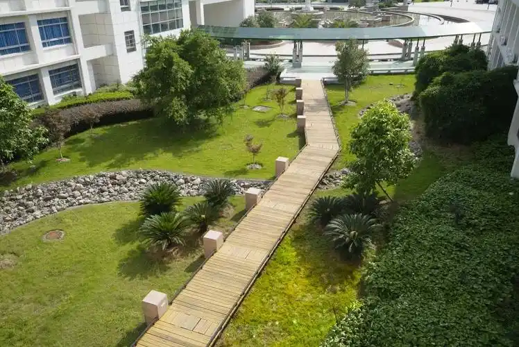 大学校园生态景观立体绿化解决方案-行业资讯-索尔园林官方网站