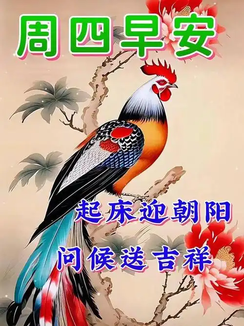 日子更加有滋味,心态年轻第一位,平安健康永相随,早上好!