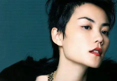 灵魂歌者王菲个人资料和图片王菲好歌分享 - 新宇视窗