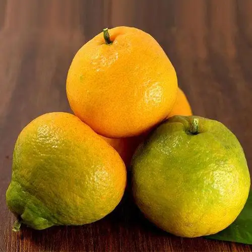 产地箱包甘甜水果新鲜当季现摘整箱地直9斤桔子