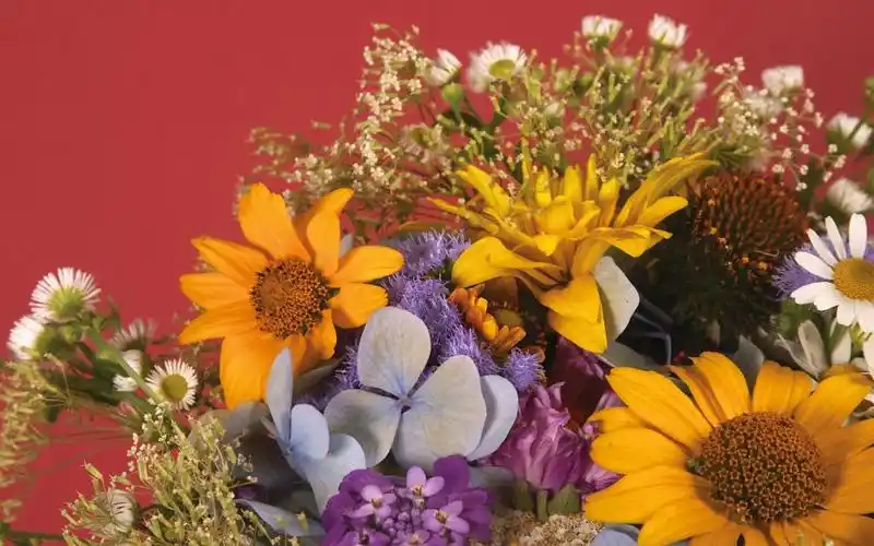 超大艳丽鲜花特写,高清图片,电脑桌面-壁纸族