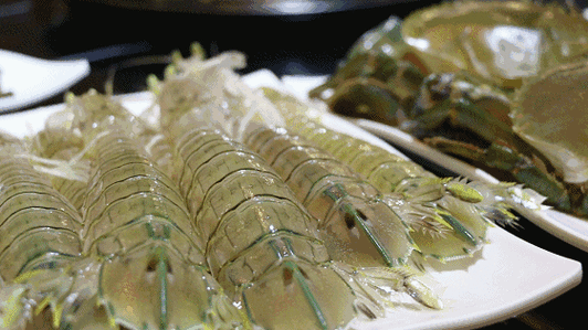 牛bility活蹦乱跳的虾蟹鱼超高性价比一盘就能吃回本