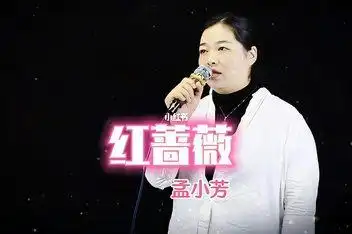 网络歌手红蔷薇《人在旅途》_百度视频搜索