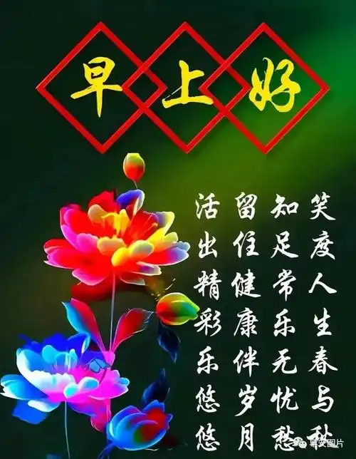 今天最美早安问候祝福语,今日精选早安问候图片