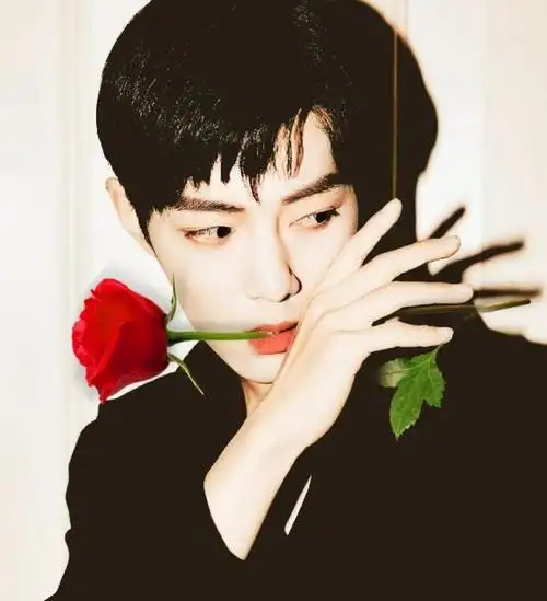 肖战代言的玫瑰星球真的太美了