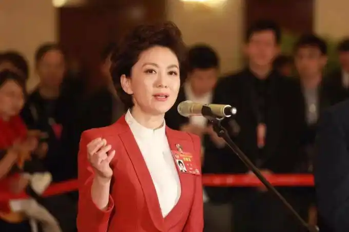 全国政协委员中央电视台新闻主播海霞委员作业聚焦推普脱贫