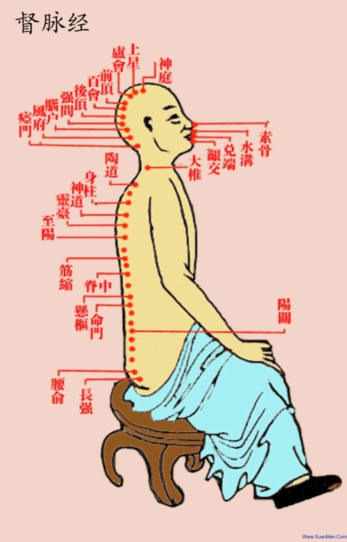督脉脉络图