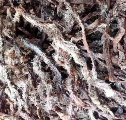 中药材白毛蛇一斤价格 更近价格与动态 别名石蚕 今日价格