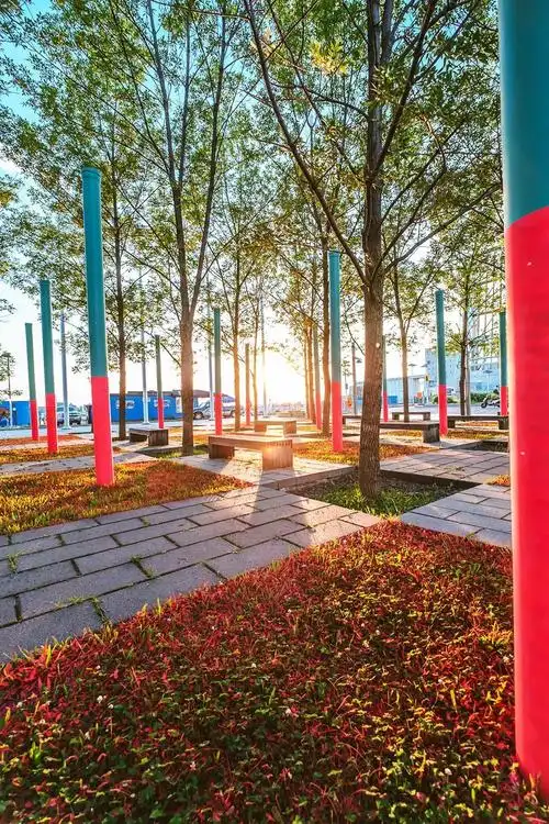 树阵景观,居然还能这么美!