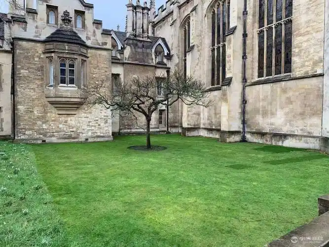 这张是剑桥大学的牛顿的"苹果树",据说原来的这株"