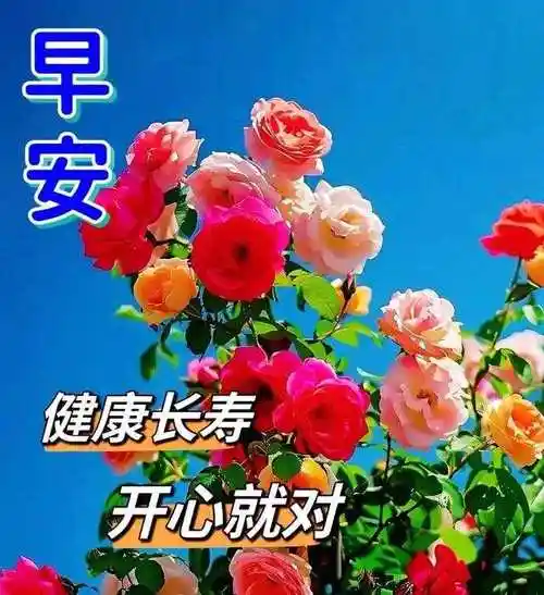 5月17日唯美朋友早上好祝福图片,夏日清晨早安问候语图片