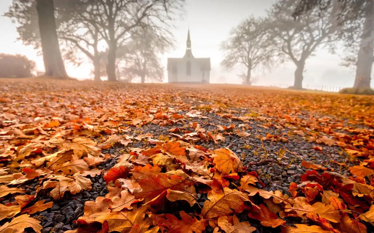 唯美伤感秋天风景壁纸_秋天落叶的凄美浪漫