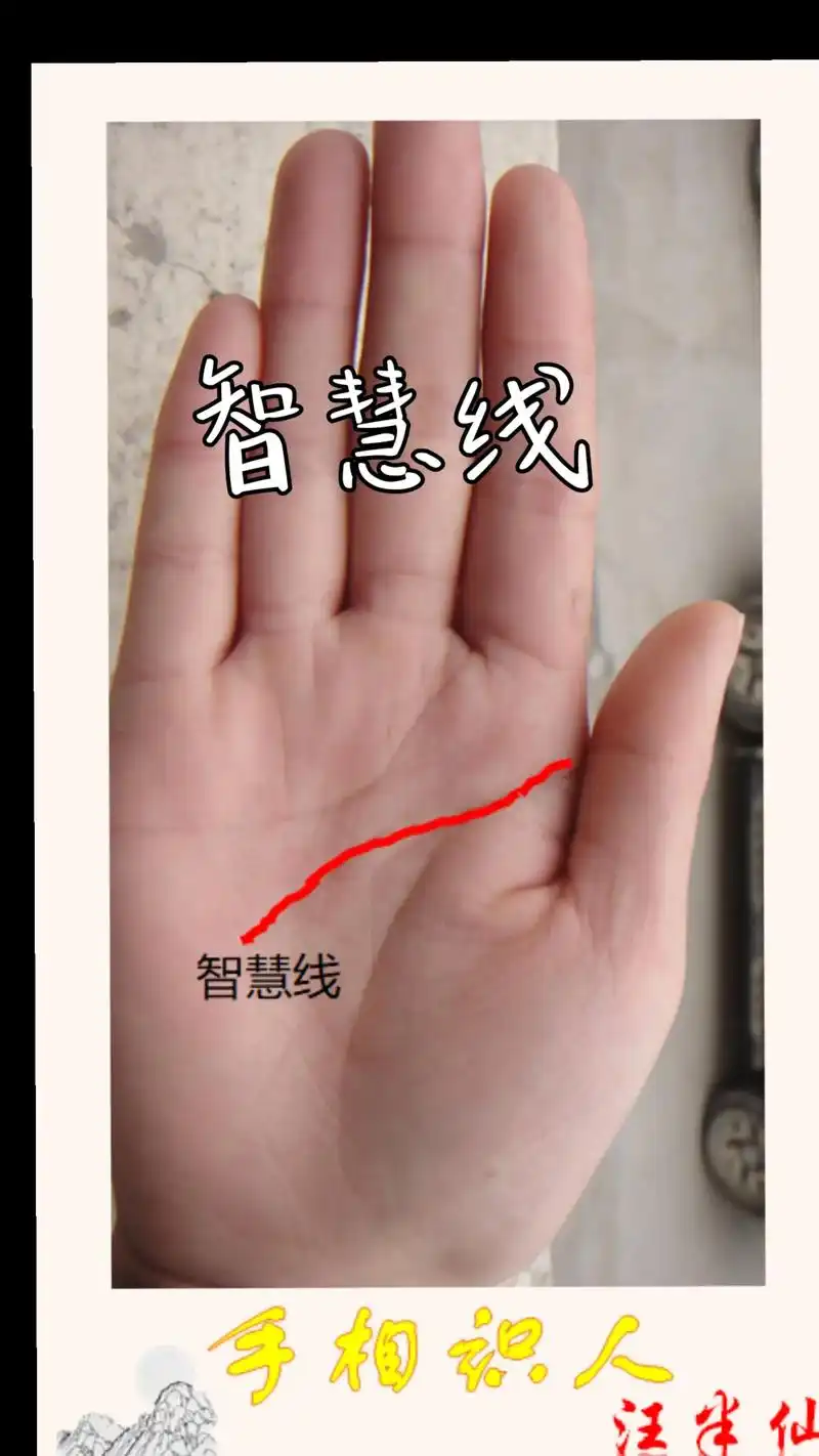 手相识人——智慧线#掌纹的秘密 #国学文化 - 抖音
