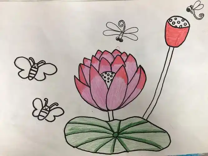 二年级一班《美丽的植物》