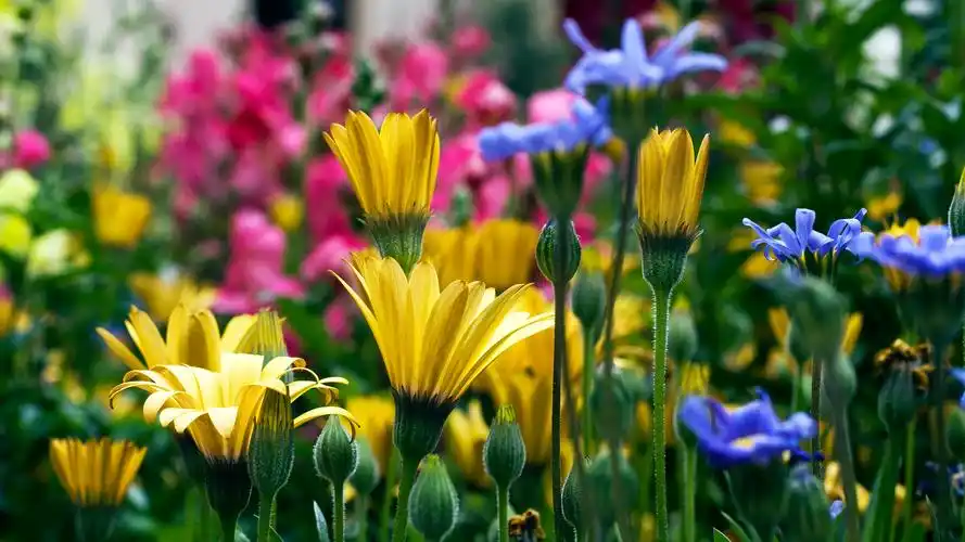 2022抖音最火歌曲合集	2022抖音热门歌曲下载 2022最火100首歌曲