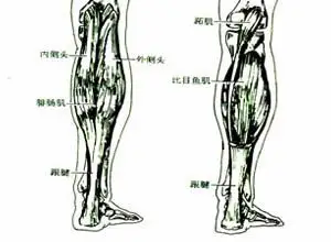 腓肠肌痉挛性疼痛,腓肠肌痉挛性疼痛的原因,腓肠肌痉挛性疼痛怎么办