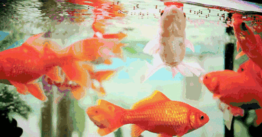 400_209gif 动态图 动图