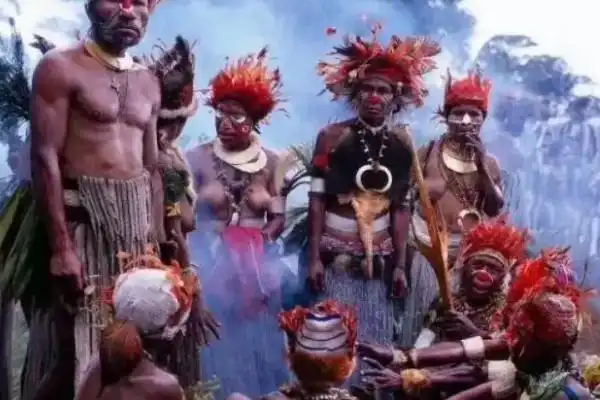 非洲象人族巨阴族世界最长生殖器的族群平均达到7080厘米