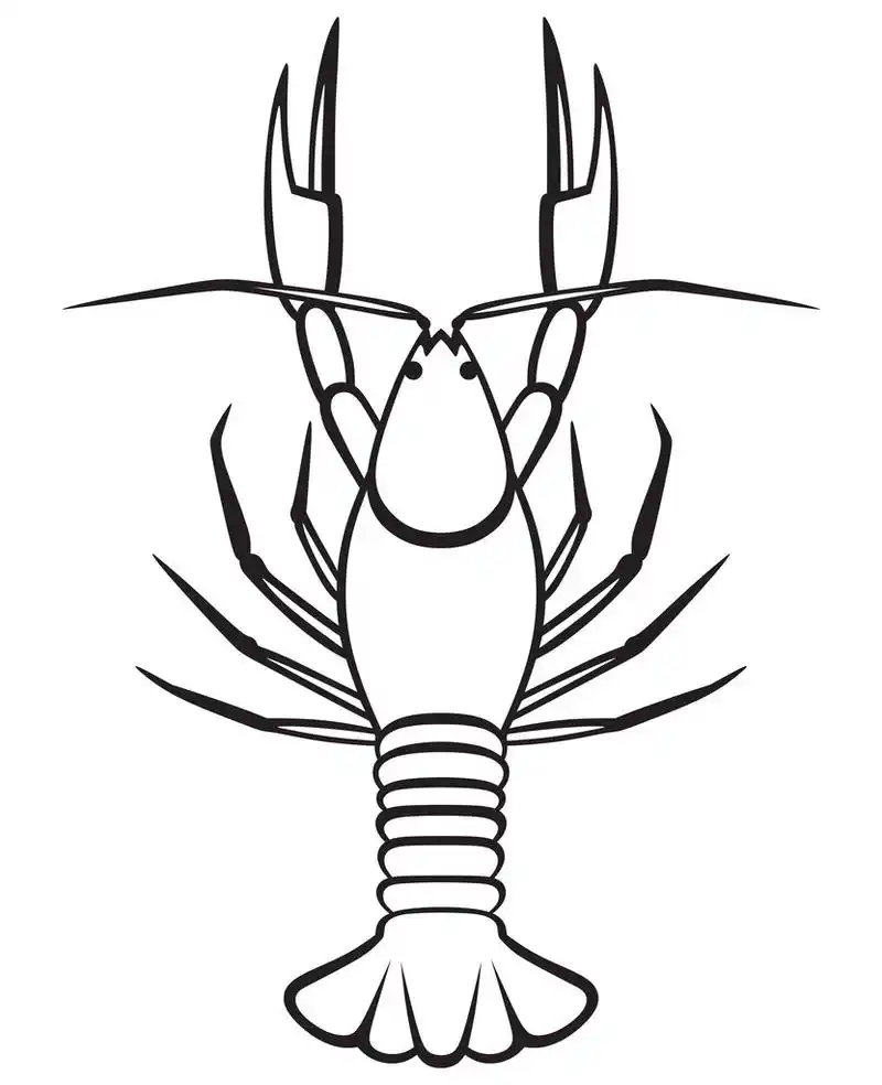 剪影小龙虾,孤立的白色背景上的剪影小龙虾